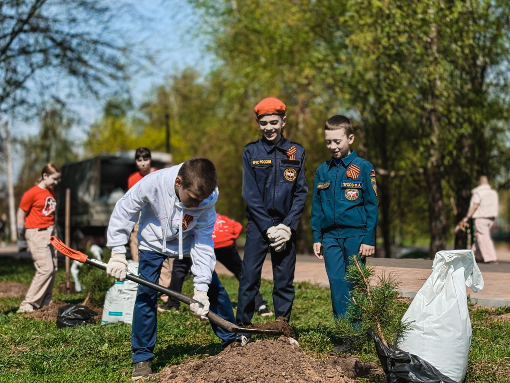 Юные жители Владимира высадили кедровую аллею в честь 35-летия молодёжной политики региона